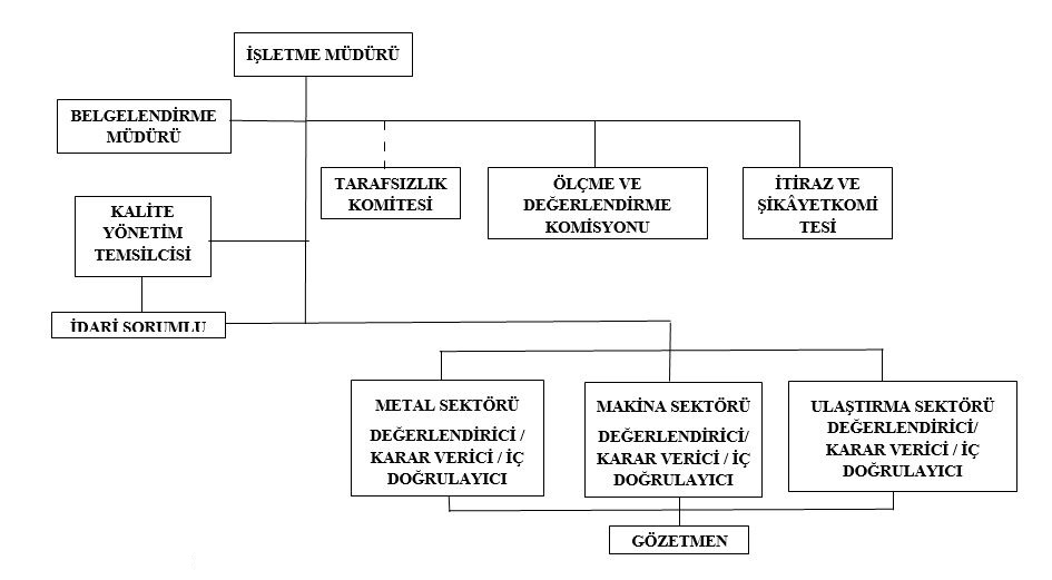 Başkent Belge - Organizasyon Şeması